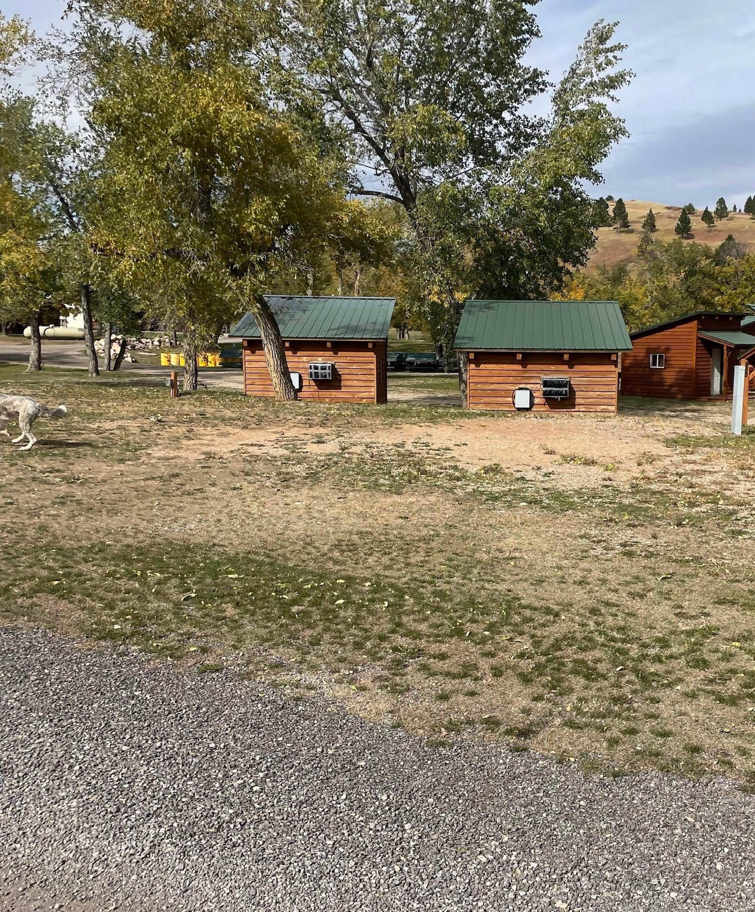 The Dyrt's photo of camping with pets at Days End Campground near Whitewood, SD