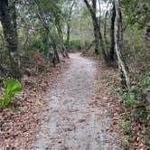 Review photo of Stephen C. Foster State Park Campground by Elizabeth W., December 18, 2022