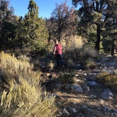 Review photo of Grey Cliffs Campground — Great Basin National Park by Robyn H., September 24, 2018