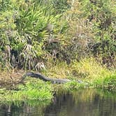 Review photo of Stephen C. Foster State Park Campground by Elizabeth W., December 18, 2022