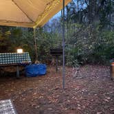 Review photo of Stephen C. Foster State Park Campground by Elizabeth W., December 18, 2022