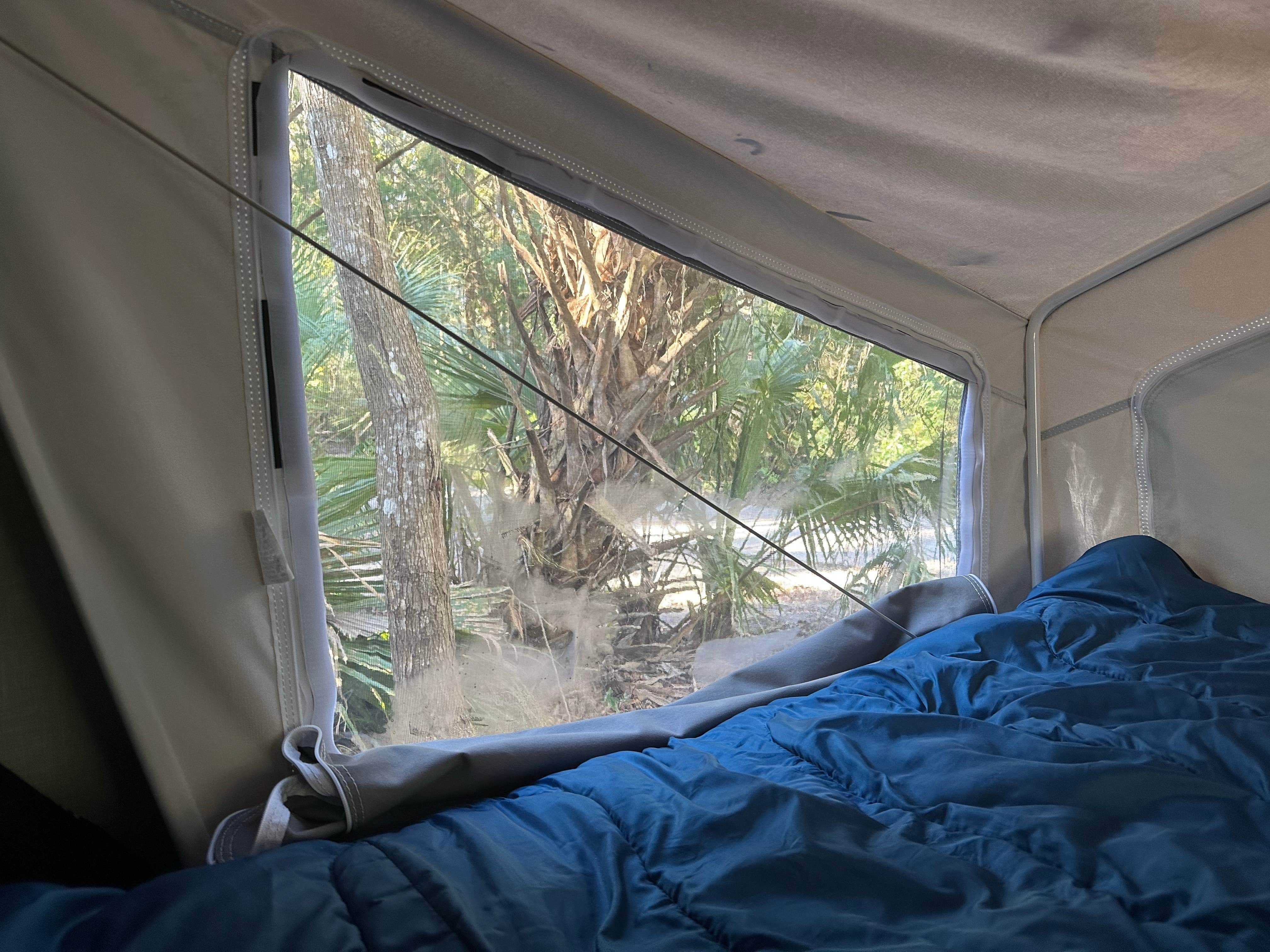 Mark's photo at Kathryn Abbey Hanna Park near Jacksonville, FL