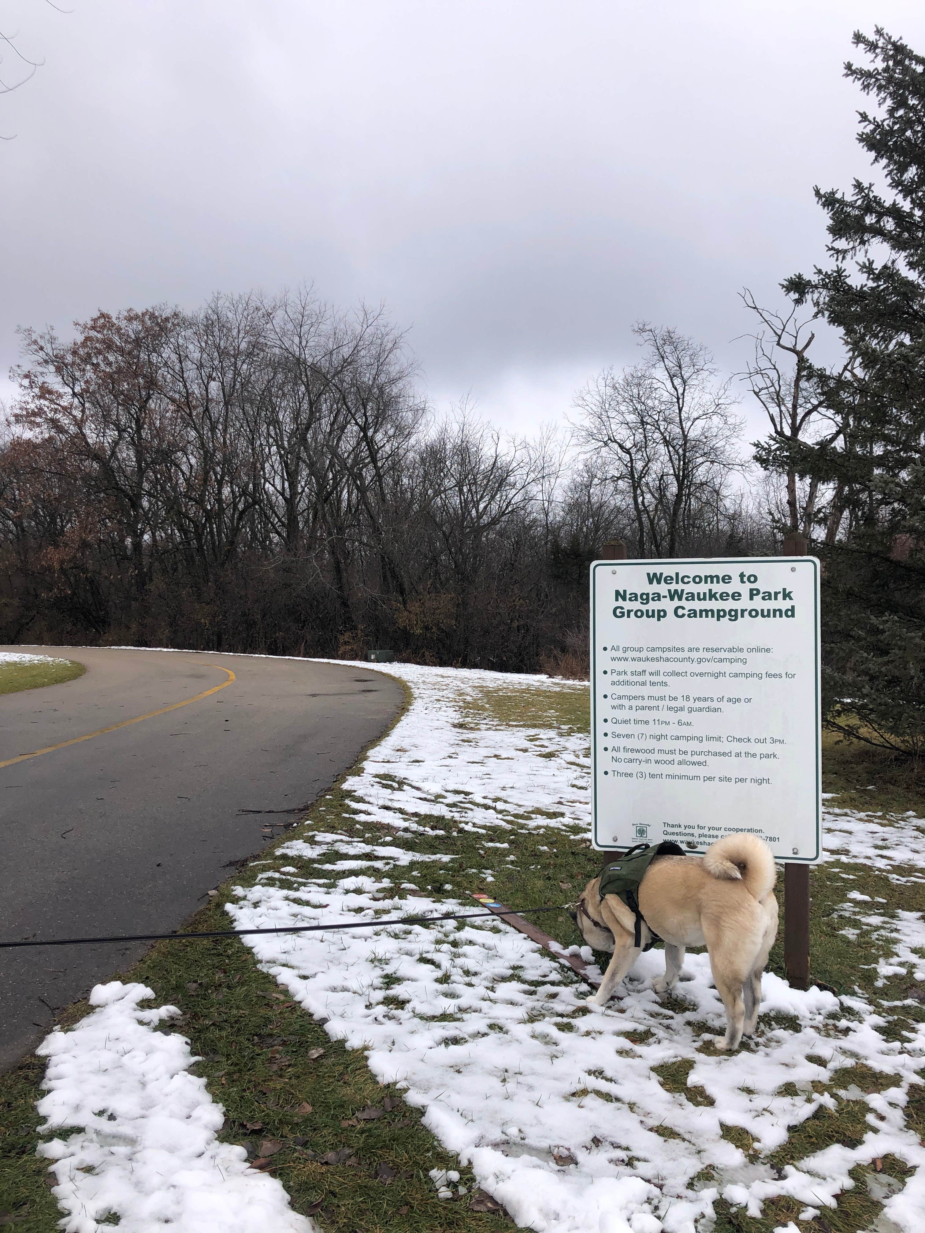 Camper submitted image from Naga-Waukee Park by Waukesha County Parks - 5