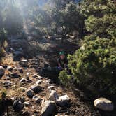 Review photo of Grey Cliffs Campground — Great Basin National Park by Robyn H., September 24, 2018