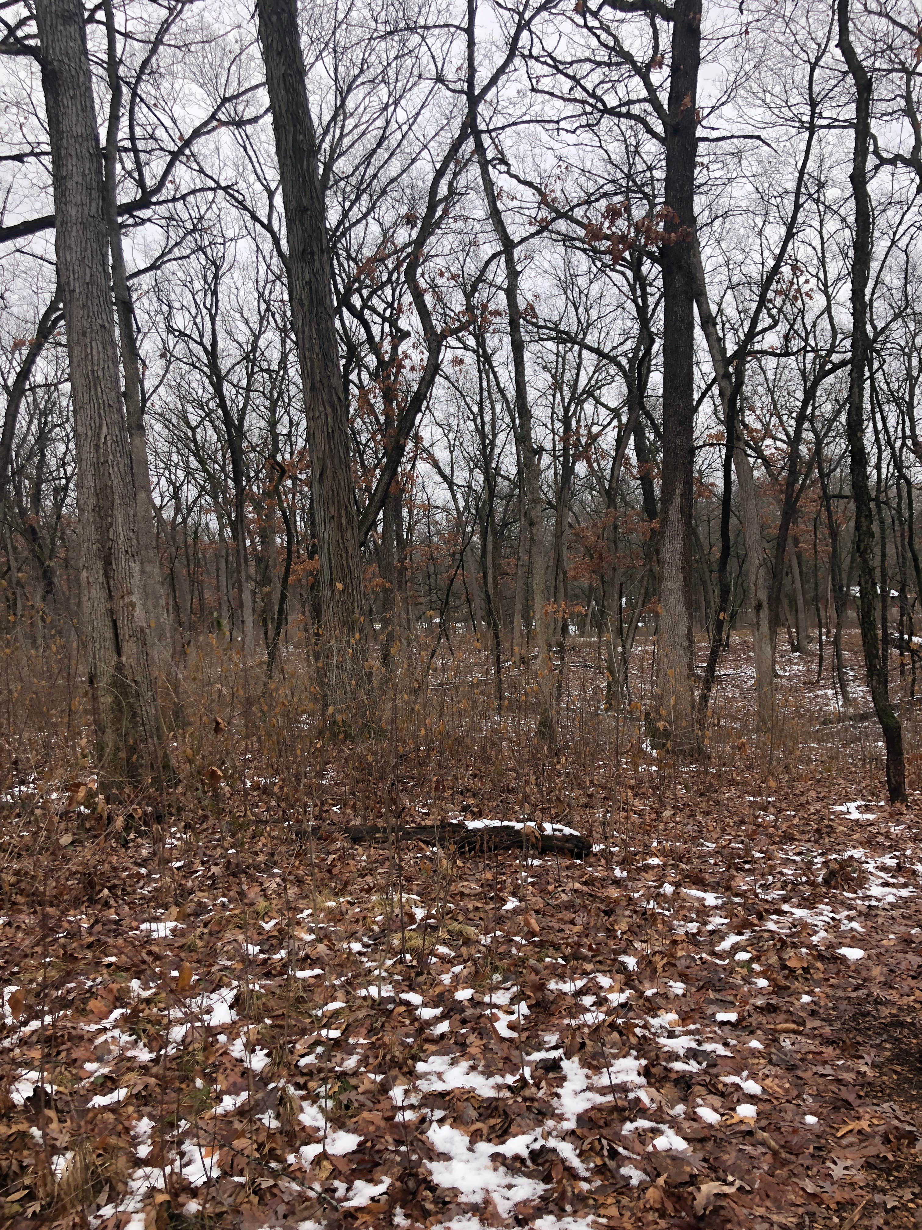 Camper-submitted photo at Naga-Waukee Park by Waukesha County Parks near Wales, WI