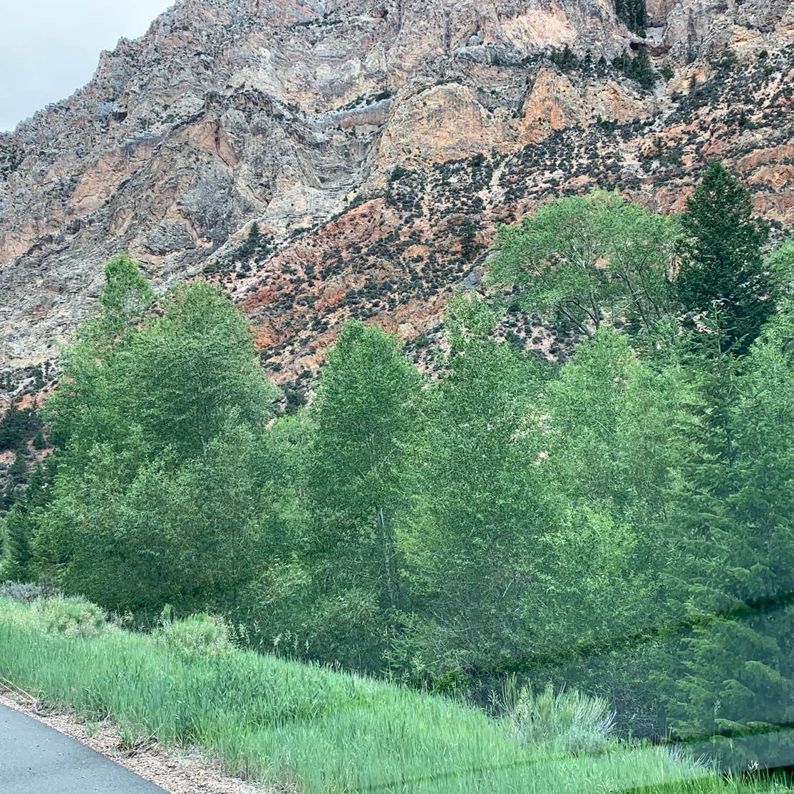 Dutch John Draw Campground Ashley National Forest Dutch John Utah