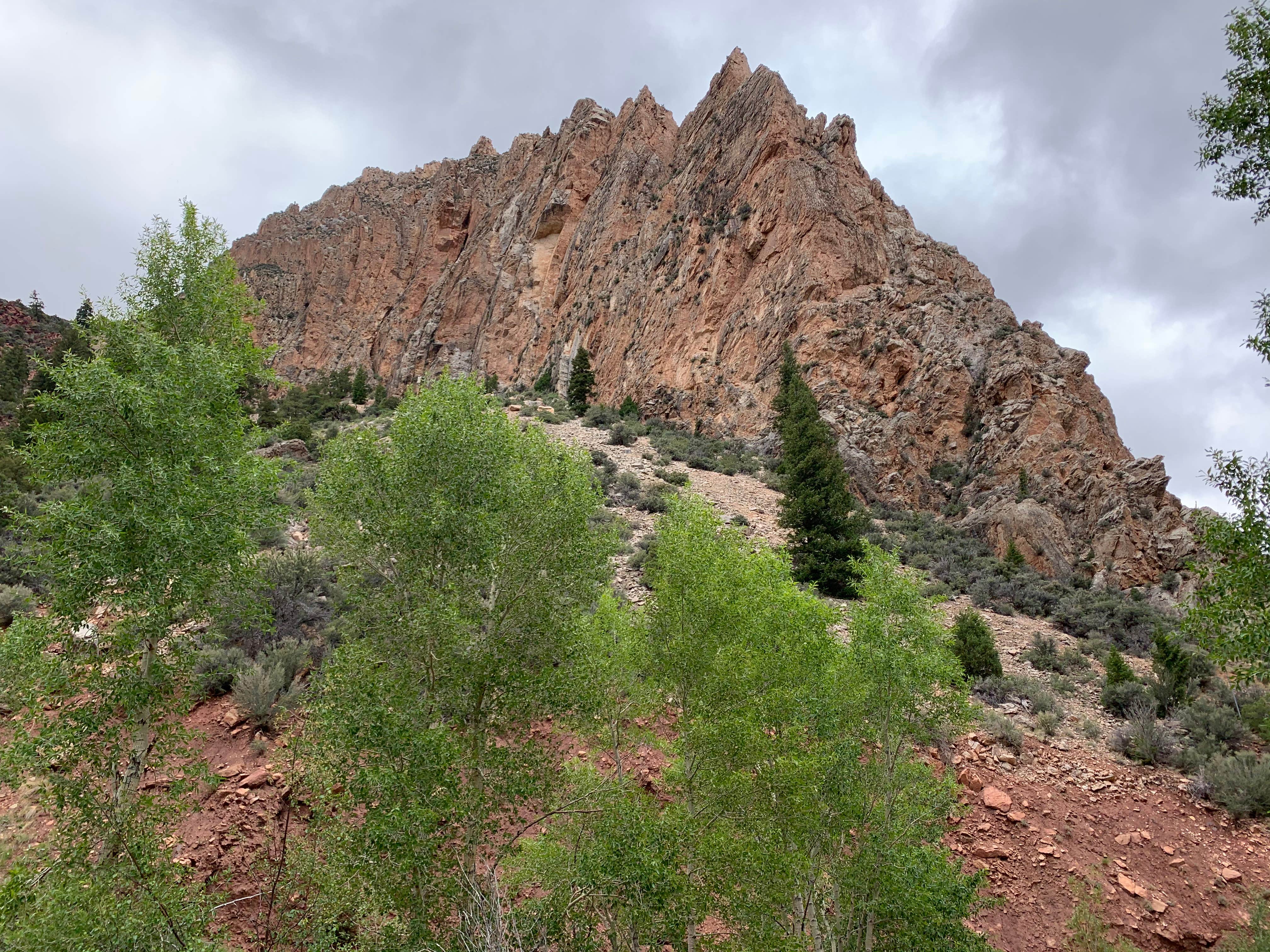 Camper-submitted photo at Dutch John Draw Campground - Ashley National Forest near Manila, UT