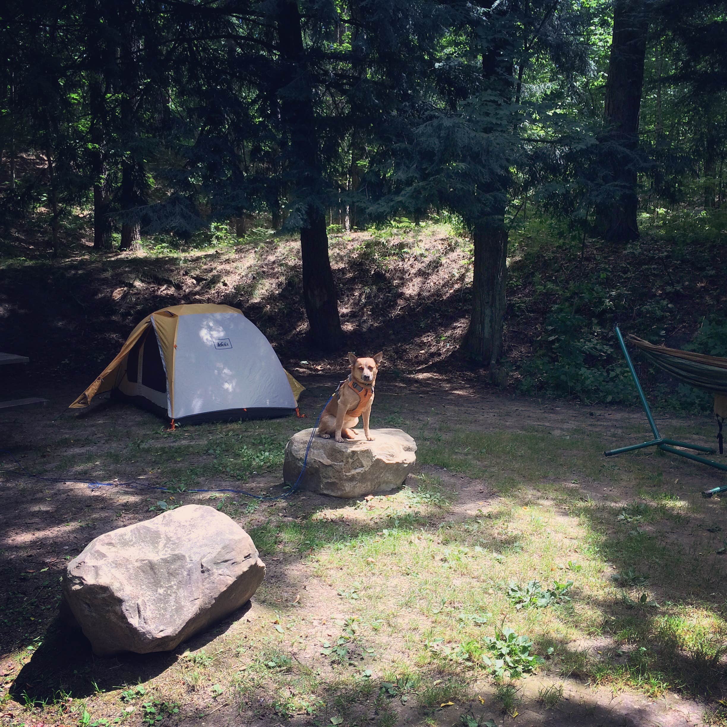 Art S.'s photo at Silver Creek State Forest Campground near South Branch, MI