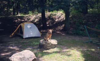 Art S.'s photo at Silver Creek State Forest Campground near South Branch, MI
