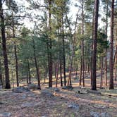 Review photo of Devils Tower View Campground by Will  E., December 18, 2022