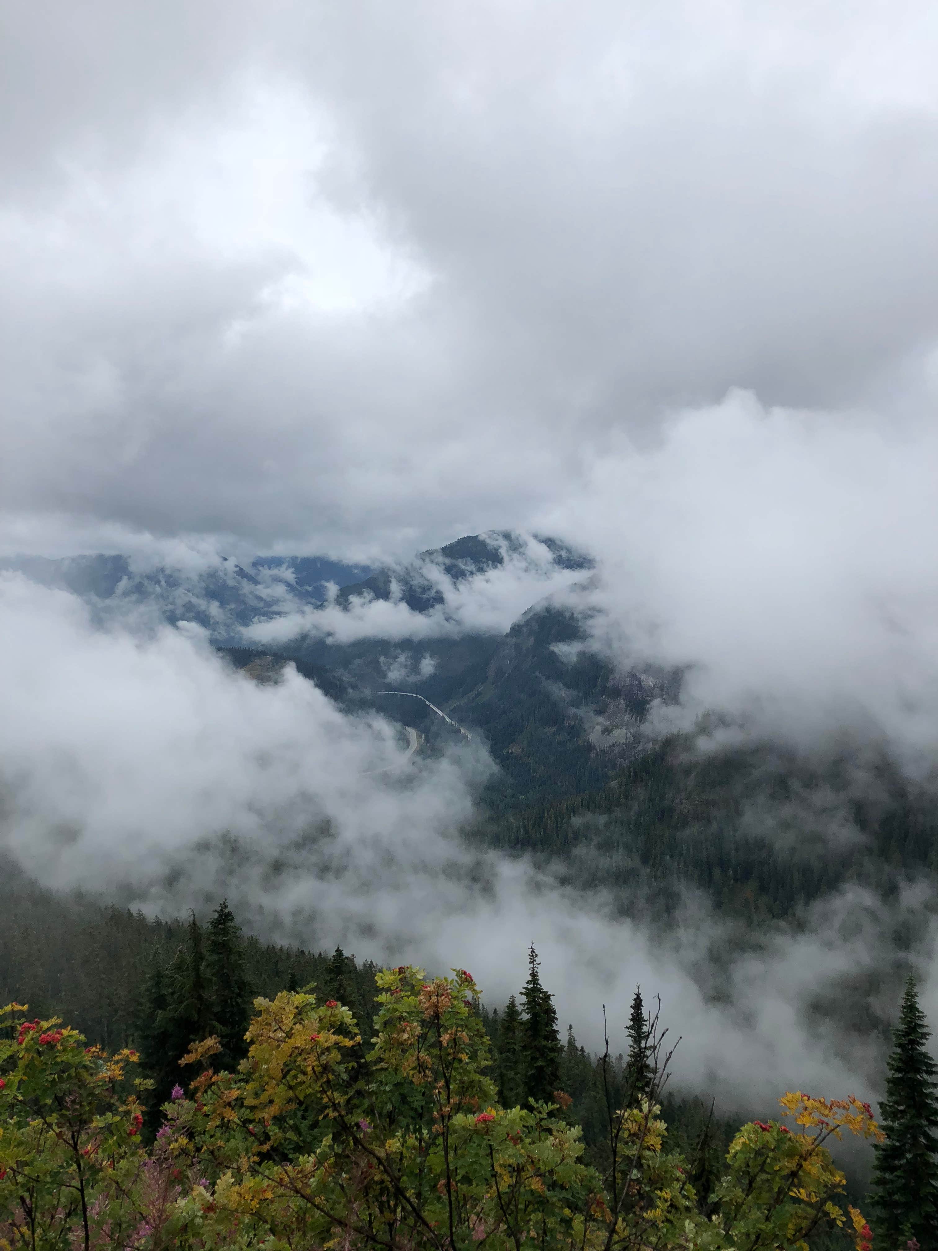 Camper-submitted photo at Elkhorn Campground near Brinnon, WA