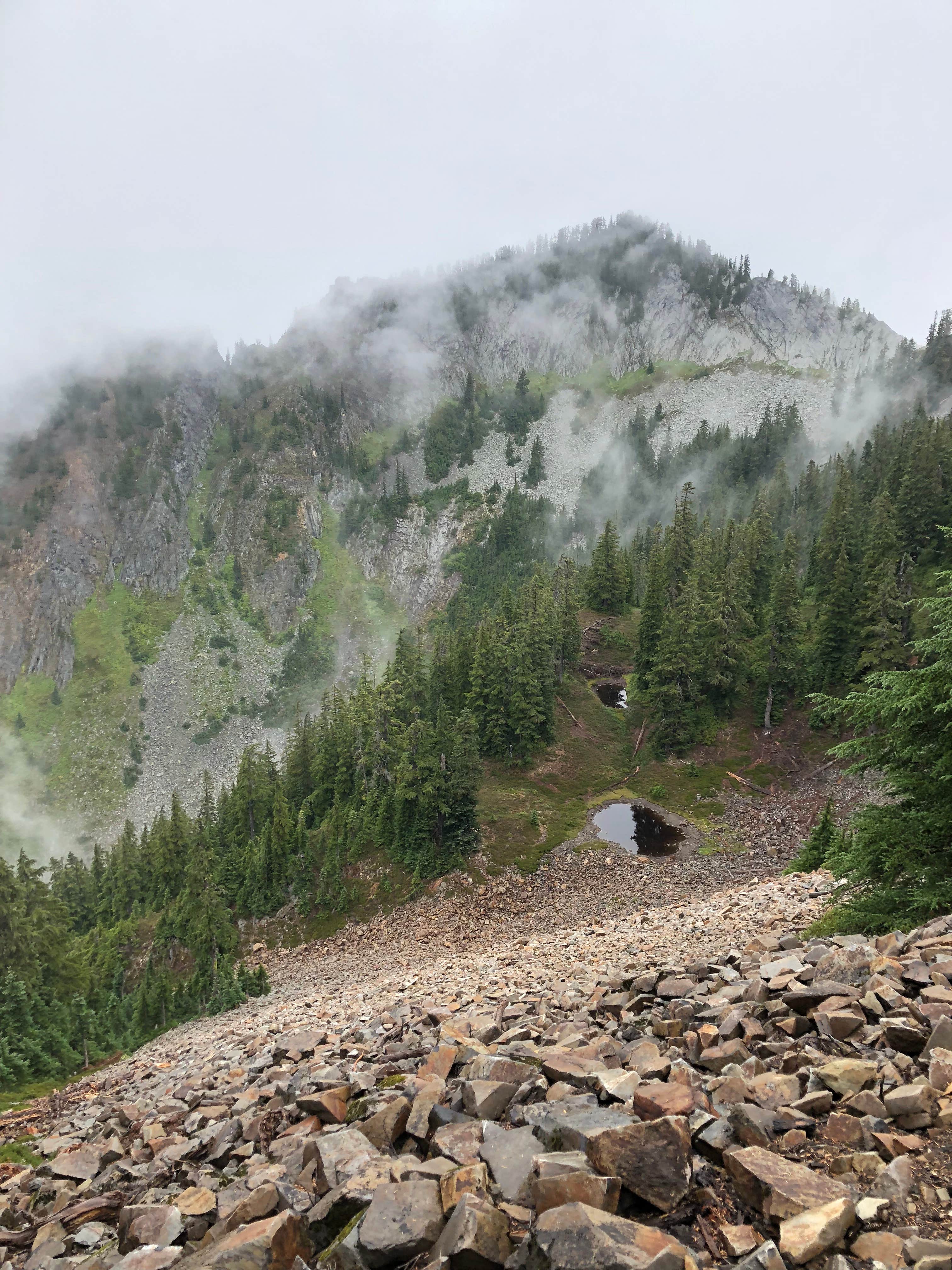 Camper-submitted photo at Elkhorn Campground near Brinnon, WA