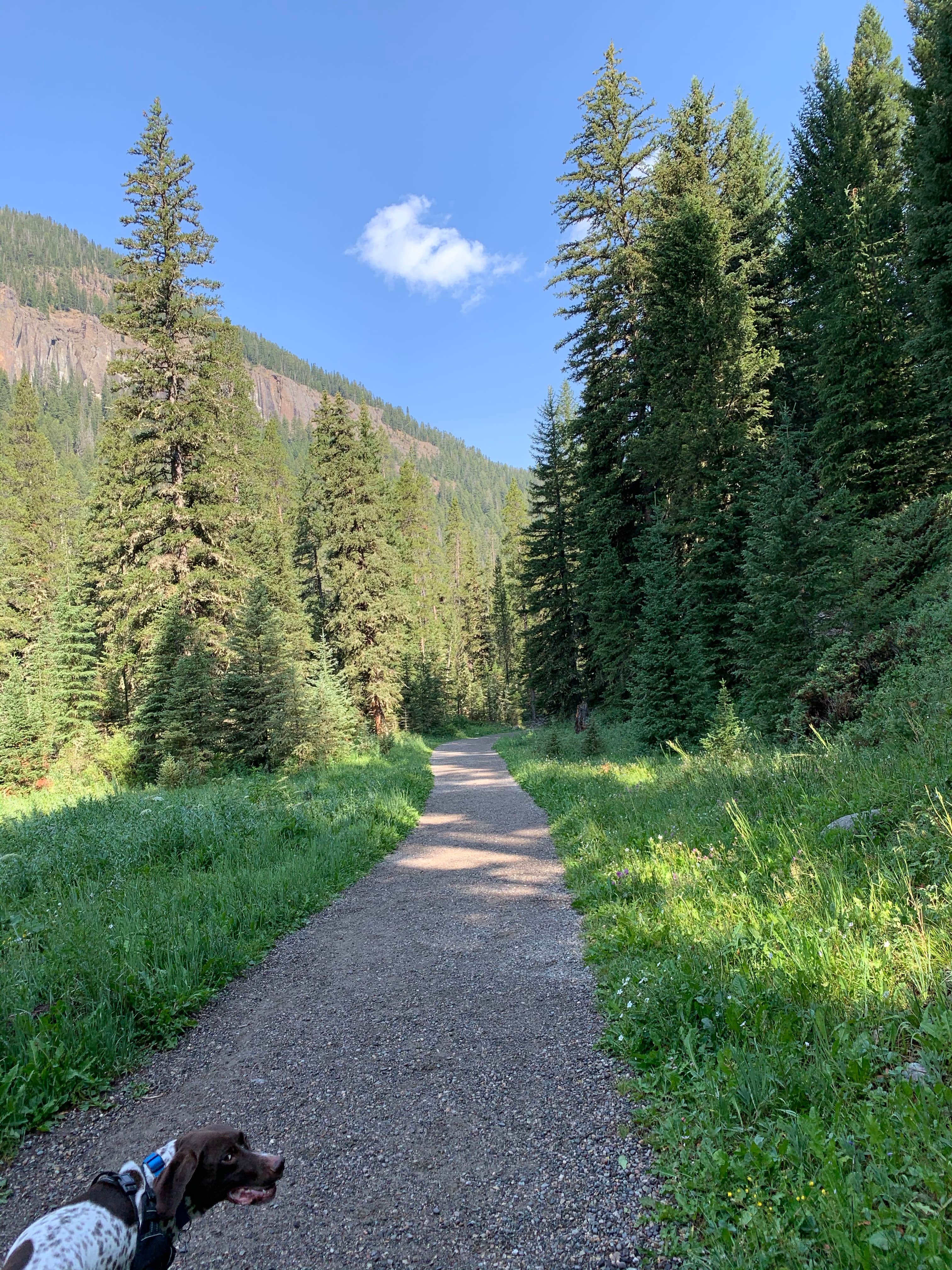 Will  E.'s photo of camping with pets at Red Cliff Campground near Cameron, MT
