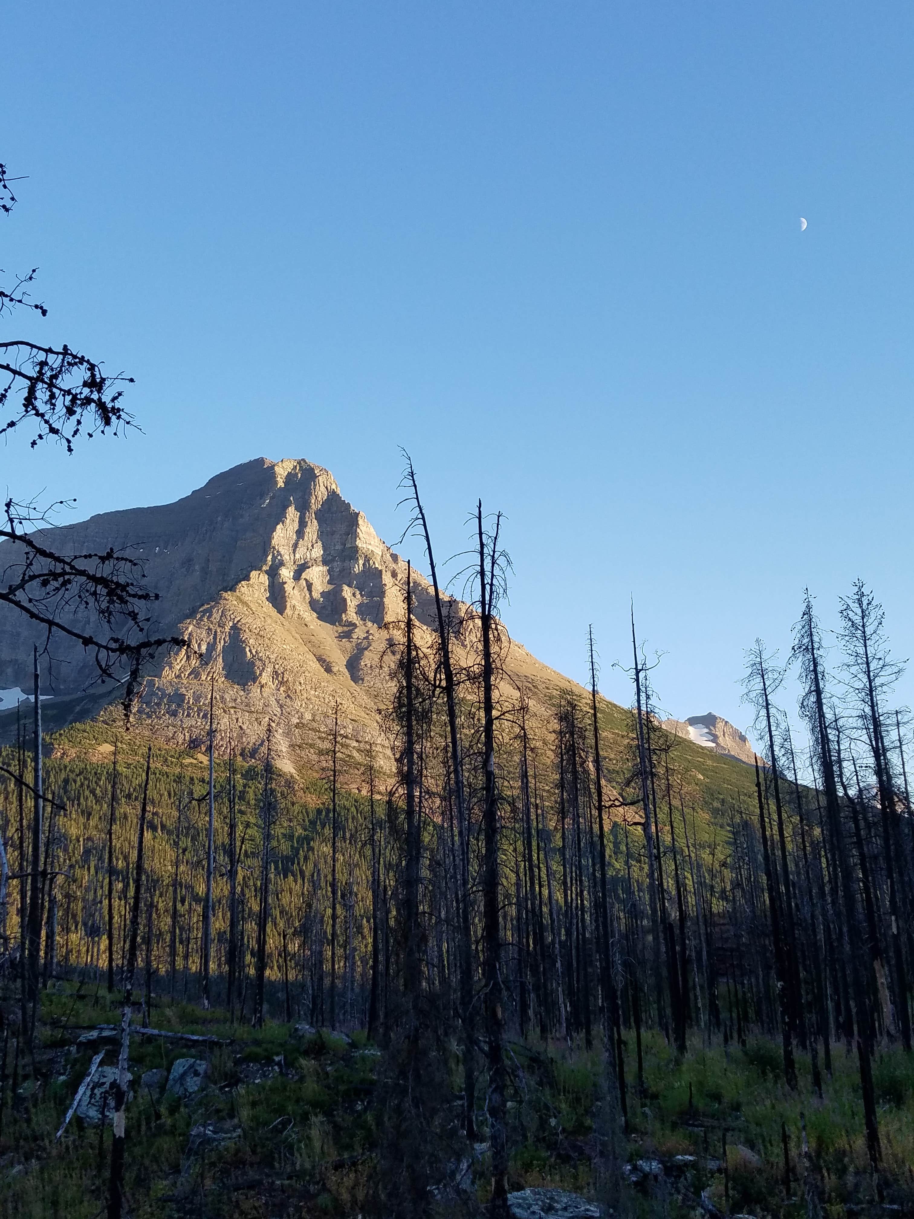 Camper-submitted photo at Summit Campground near Browning, MT