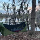 Review photo of COE Walter F George Lake Bluff Creek Campground by Steve G., December 18, 2022