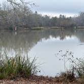 Review photo of COE Walter F George Lake Bluff Creek Campground by Steve G., December 18, 2022