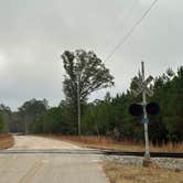 Review photo of COE Walter F George Lake Bluff Creek Campground by Steve G., December 18, 2022