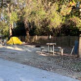 Review photo of Myrtle Beach State Park Campground by Tod S., December 18, 2022