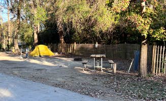 Tod S.'s photo at Myrtle Beach State Park Campground near Conway, SC