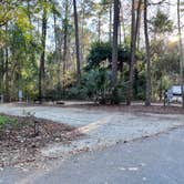 Review photo of Myrtle Beach State Park Campground by Tod S., December 18, 2022