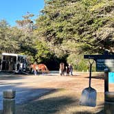 Review photo of Myrtle Beach State Park Campground by Tod S., December 18, 2022