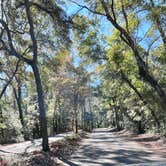 Review photo of Myrtle Beach State Park Campground by Tod S., December 18, 2022