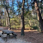 Review photo of Myrtle Beach State Park Campground by Tod S., December 18, 2022