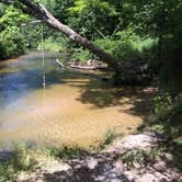 Review photo of Silver Creek State Forest Campground by Art S., August 10, 2016