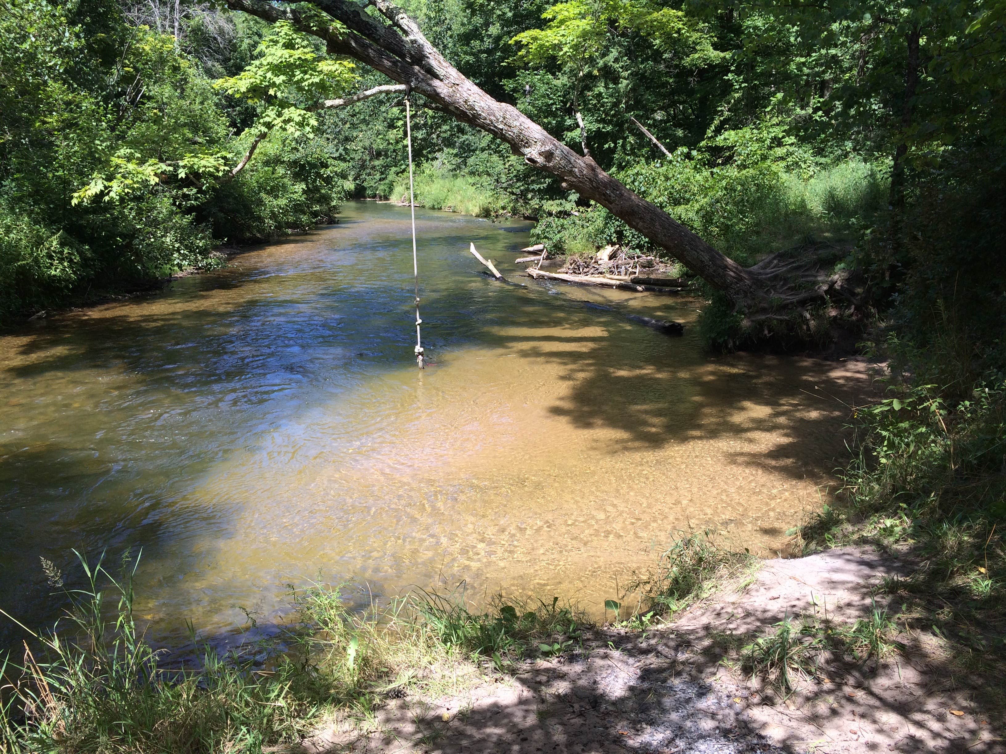 Camper submitted image from Silver Creek State Forest Campground - 3