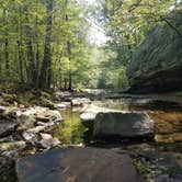 Review photo of Turkey Ridge Campground — Ferne Clyffe State Park by Scott N., September 24, 2018