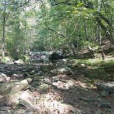 Review photo of Turkey Ridge Campground — Ferne Clyffe State Park by Scott N., September 24, 2018