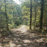 Review photo of Turkey Ridge Campground — Ferne Clyffe State Park by Scott N., September 24, 2018