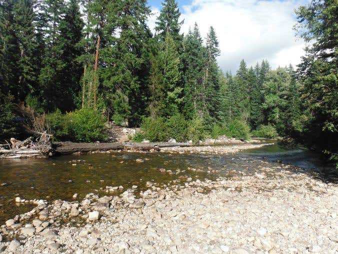 Camper submitted image from Nason Creek Campground - 3