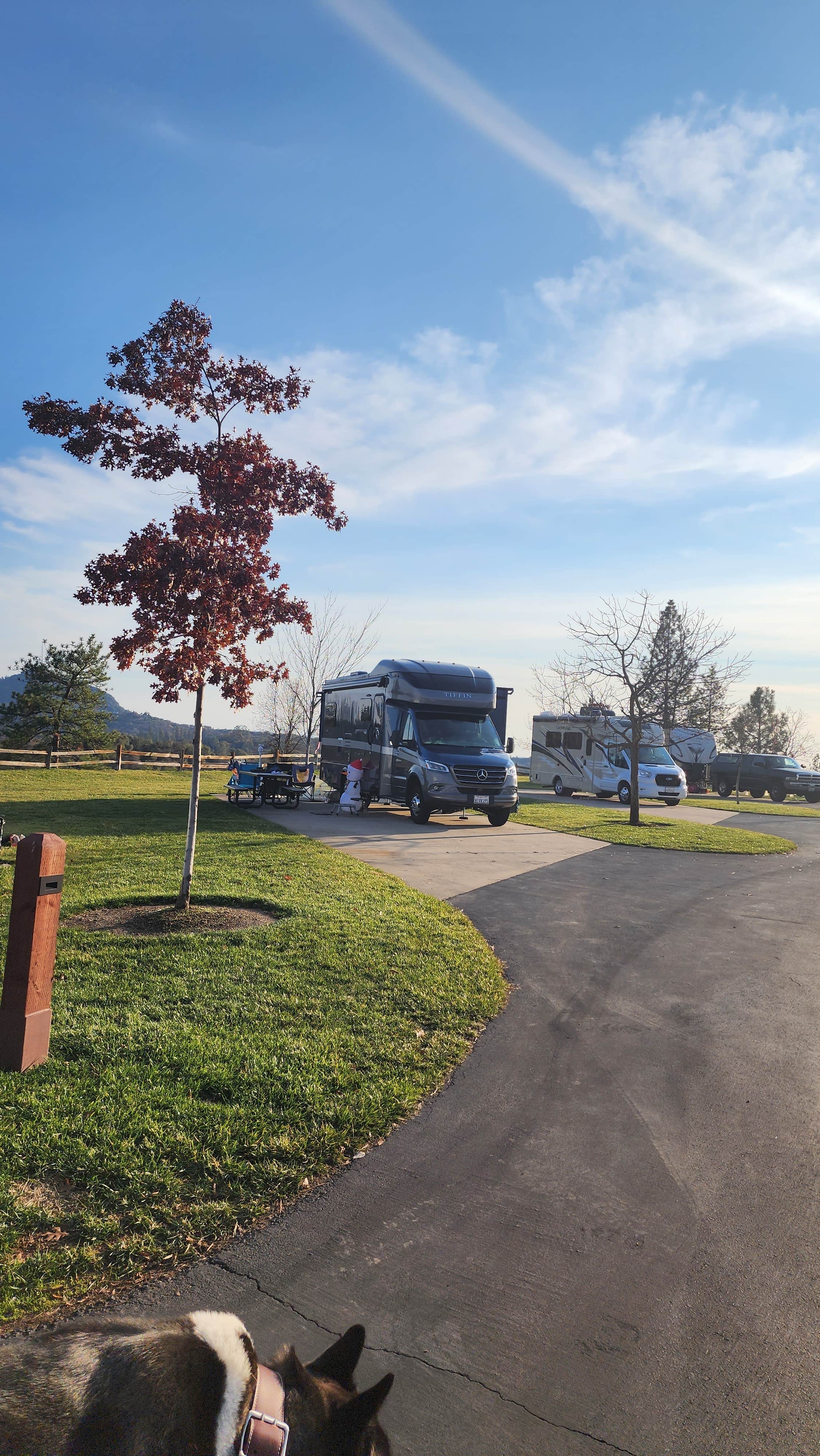 Raven P.'s photo of rv camping at Jackson Rancheria RV Park near Angels, CA