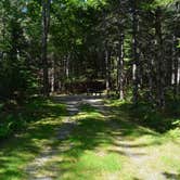 Review photo of Cobscook Bay State Park by Nancy W., December 19, 2022