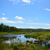 Review photo of Cobscook Bay State Park by Nancy W., December 19, 2022