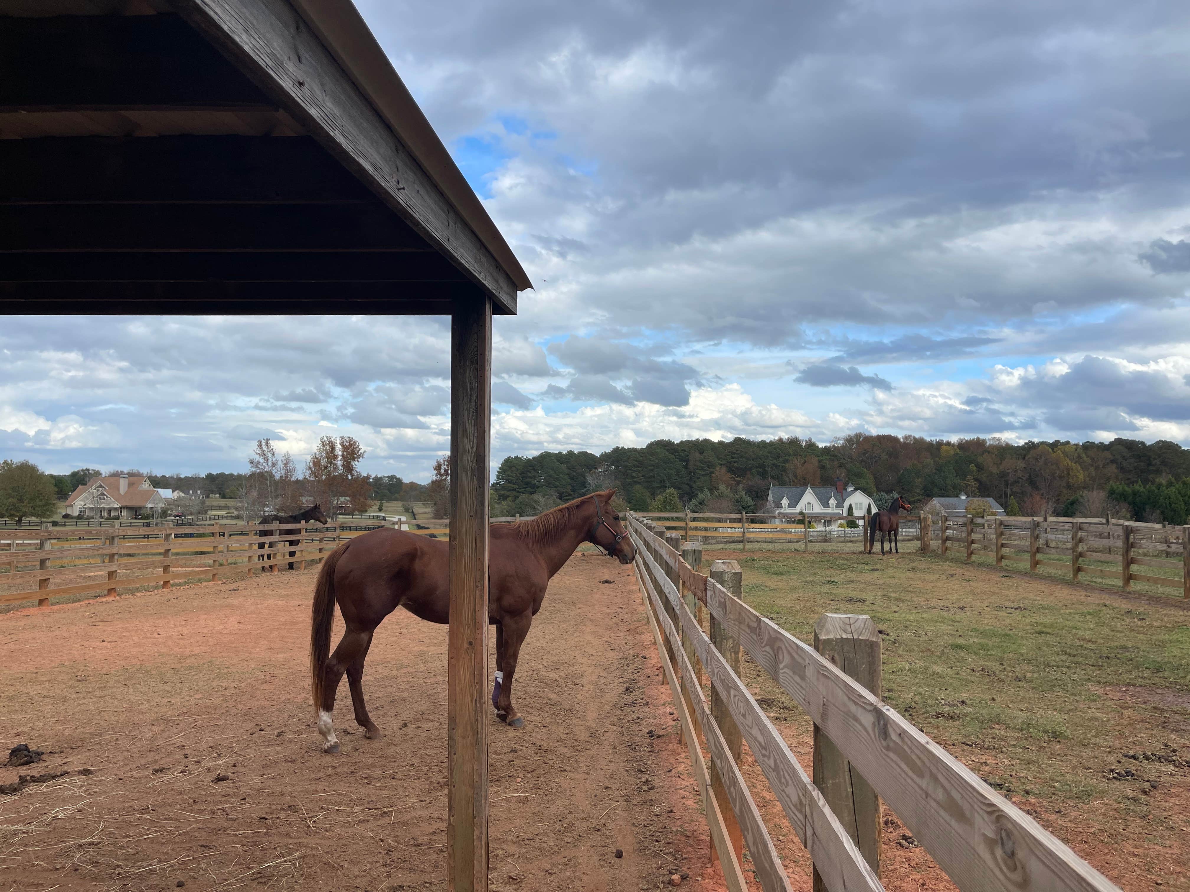 Camper-submitted photo at Liberty Stables near Monroe, GA