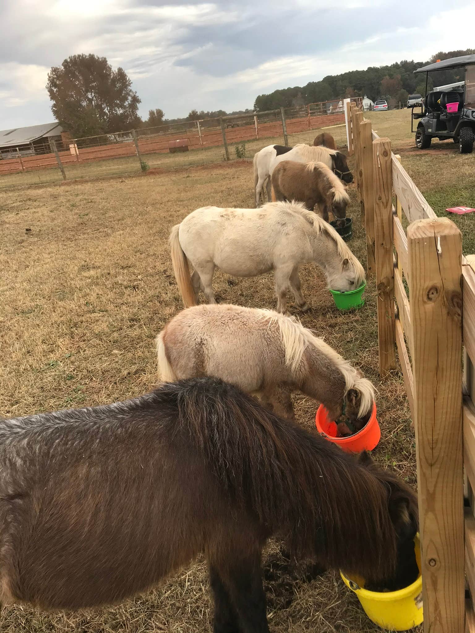 Camper-submitted photo at Liberty Stables near Monroe, GA