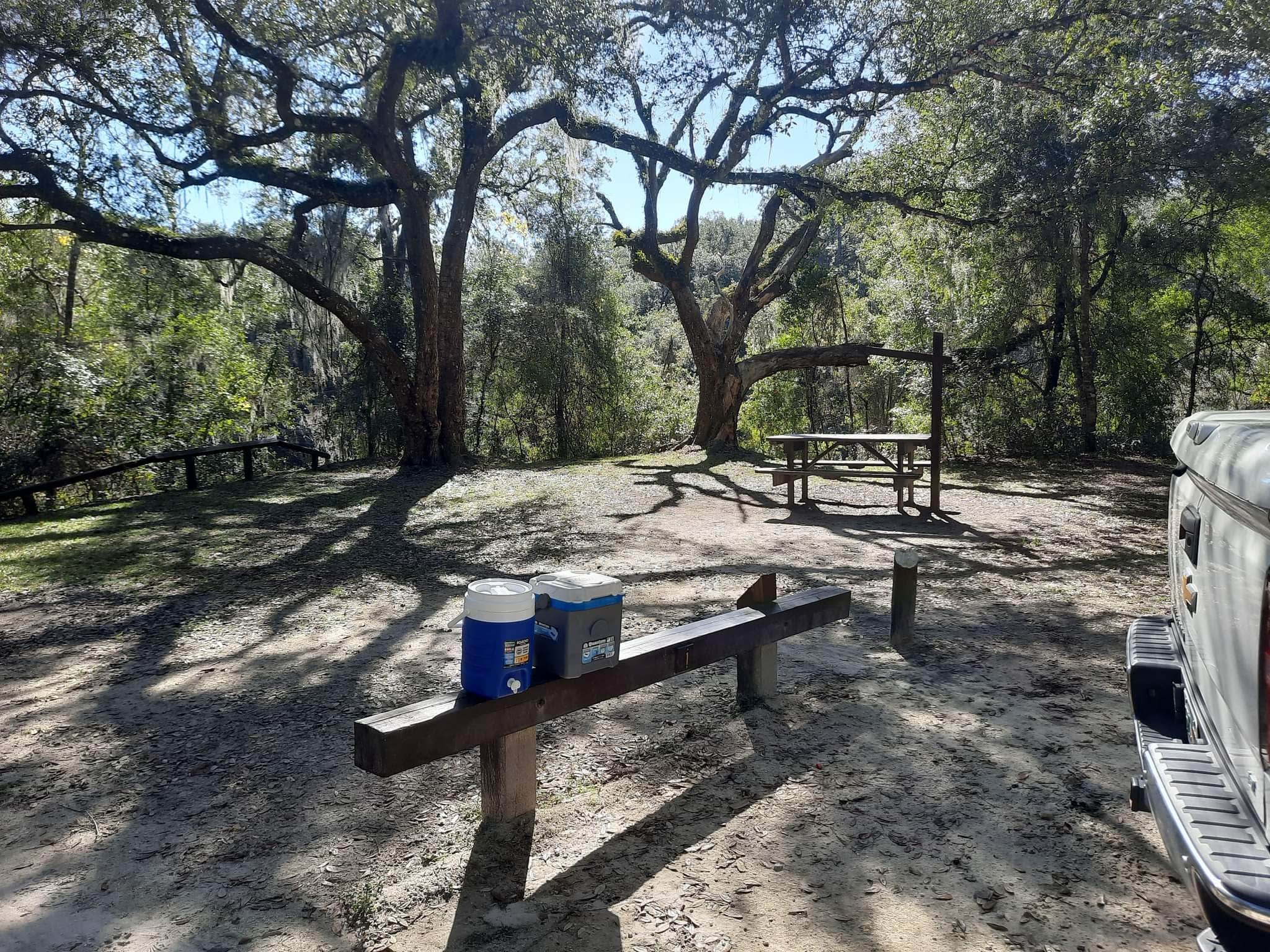 Camper submitted image from Mutual Mine - Withlacoochee State Forest - 3