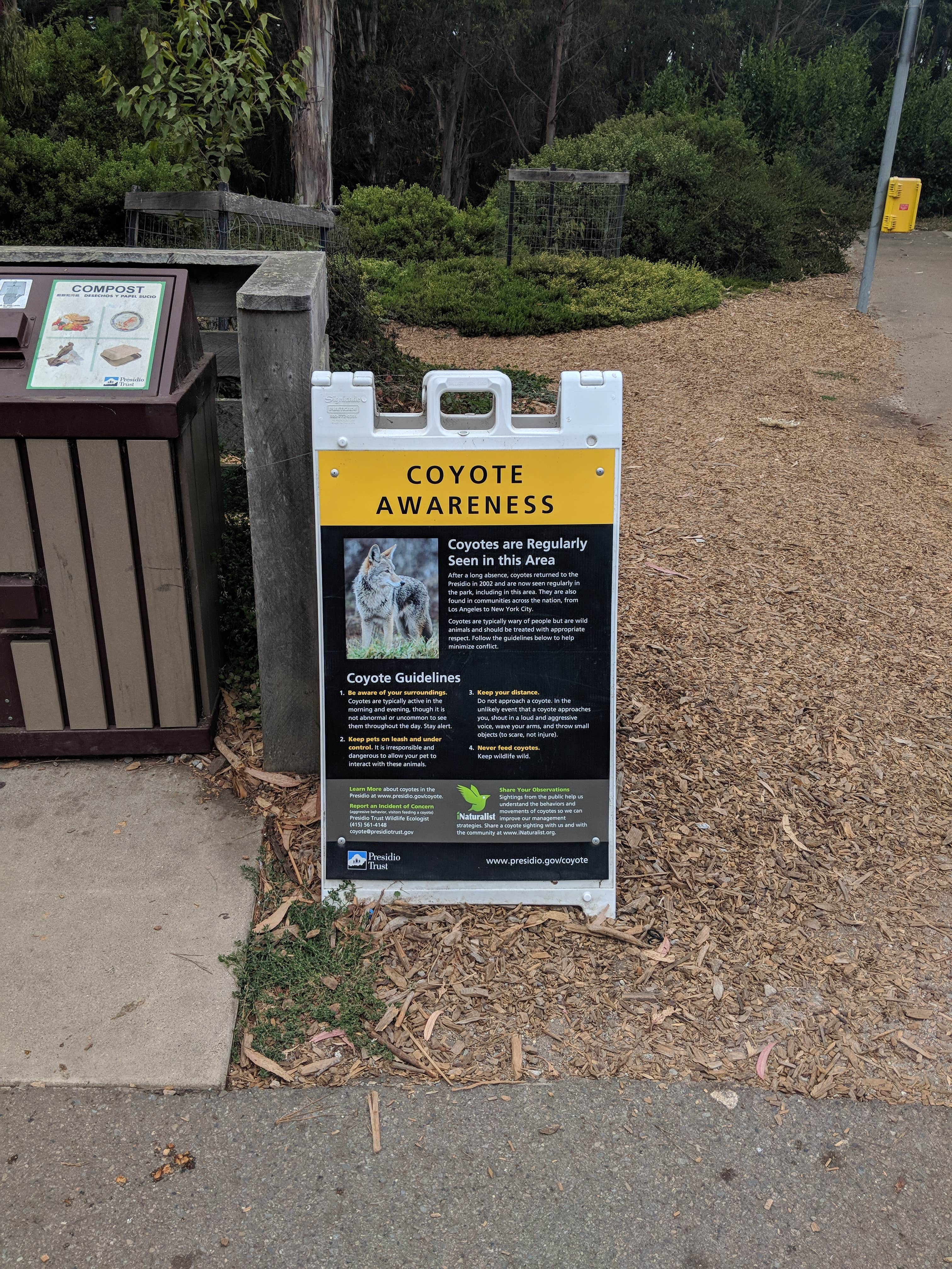 Camper-submitted photo at Rob Hill Campground near Daly City, CA