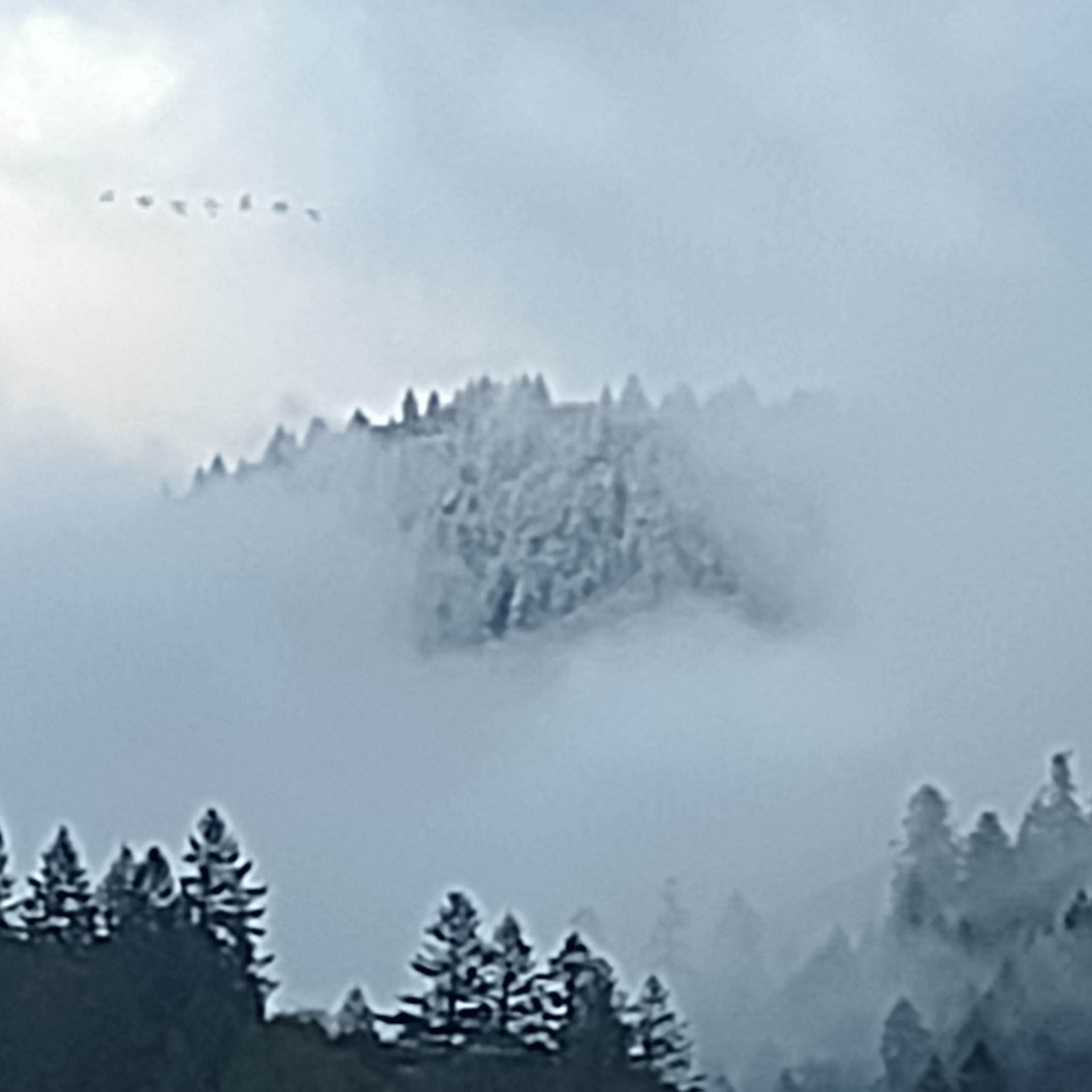 Camper-submitted photo at TOWLA: Trinity Outdoor Wilderness Life & Adventure near Trinidad, CA