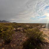 Review photo of Baylor Canyon Rd Spur, BLM, Free by Aliza  N., December 20, 2022