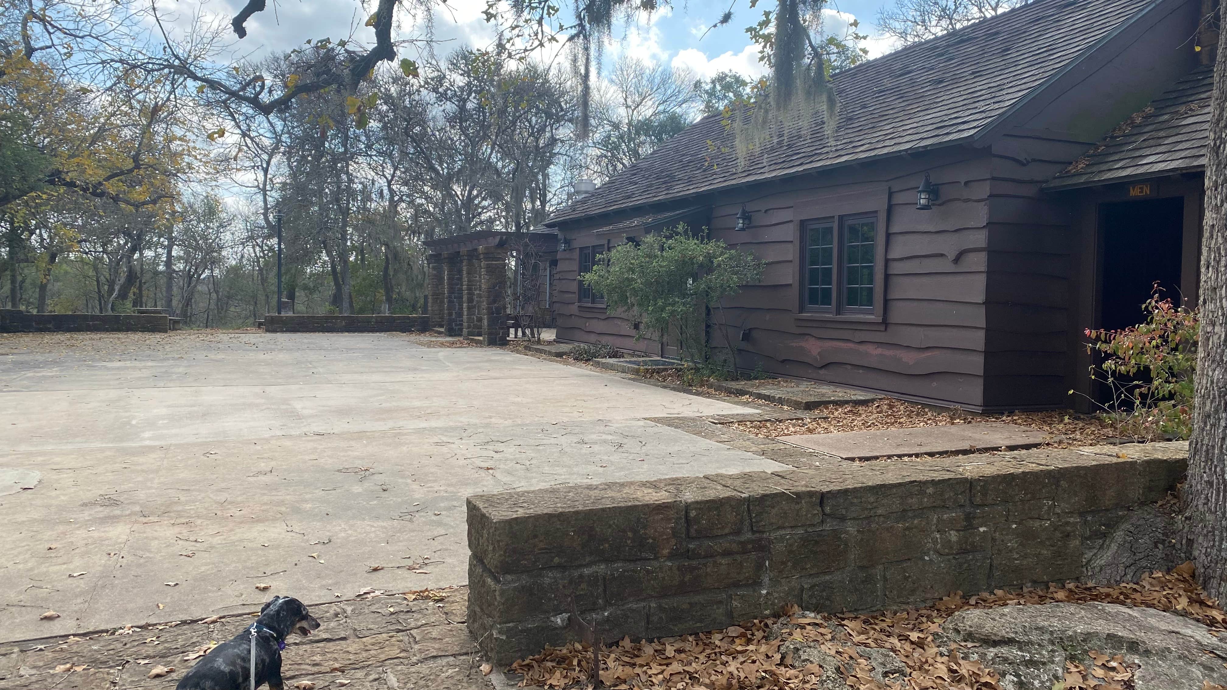 Shelly S.'s photo of camping with pets at Lockhart State Park Campground near Kyle, TX