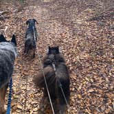 Review photo of Lockhart State Park Campground by Shelly S., December 20, 2022