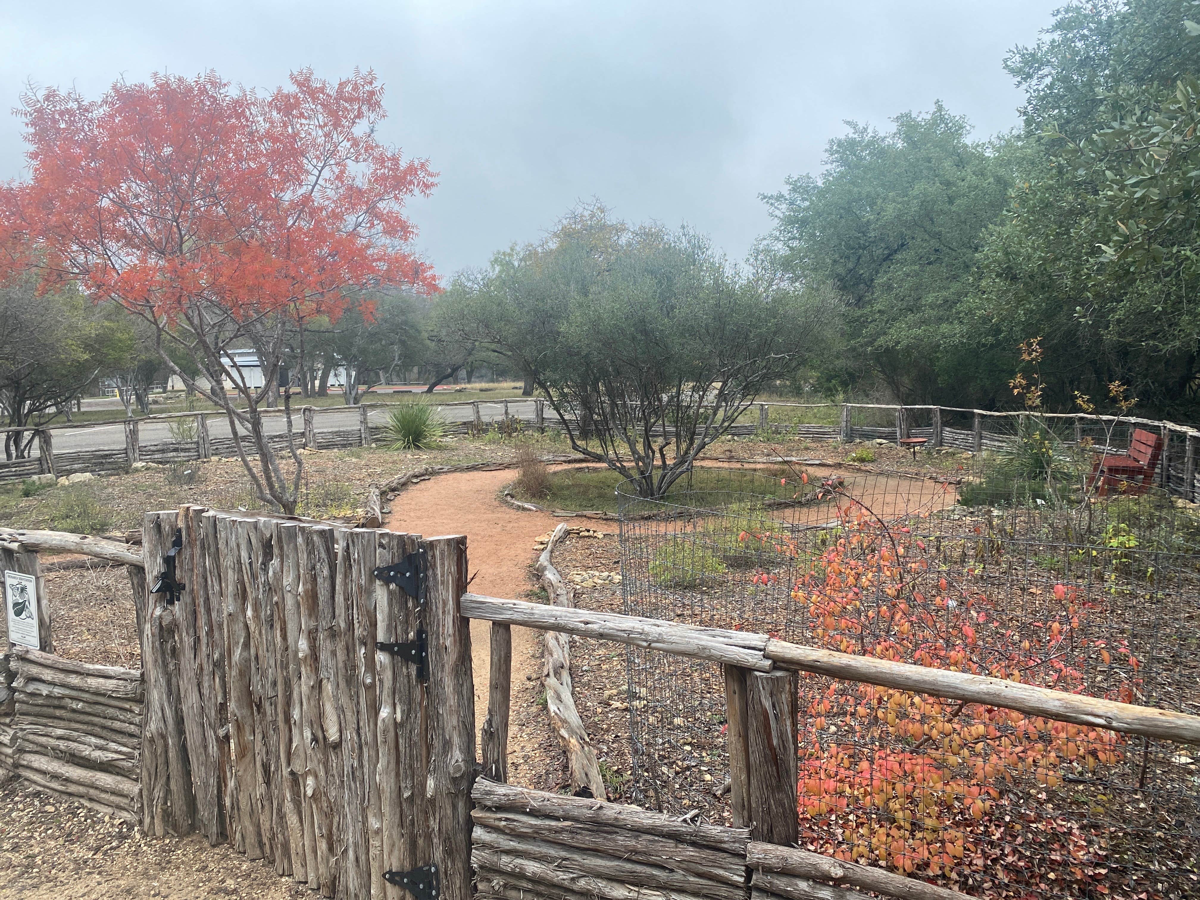 Camper-submitted photo at Cedar Sage Camping Area — Guadalupe River State Park near Spring Branch, TX