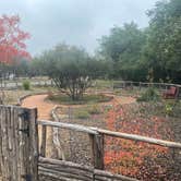 Review photo of Cedar Sage Camping Area — Guadalupe River State Park by Shelly S., December 20, 2022