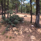 Review photo of Hualapai Mountain Park by Ashley E., September 24, 2018