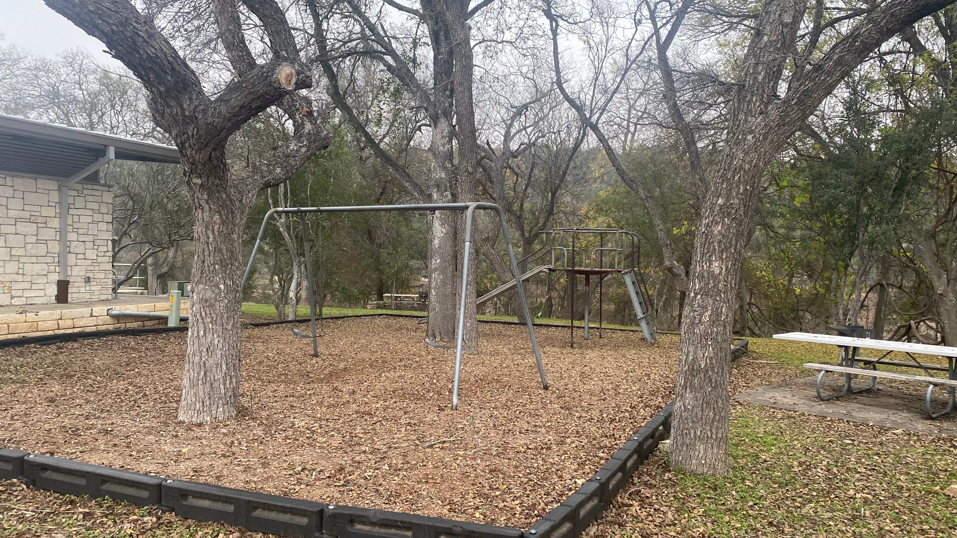 Camper submitted image from Cedar Sage Camping Area — Guadalupe River State Park - 4