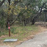 Review photo of Cedar Sage Camping Area — Guadalupe River State Park by Shelly S., December 20, 2022