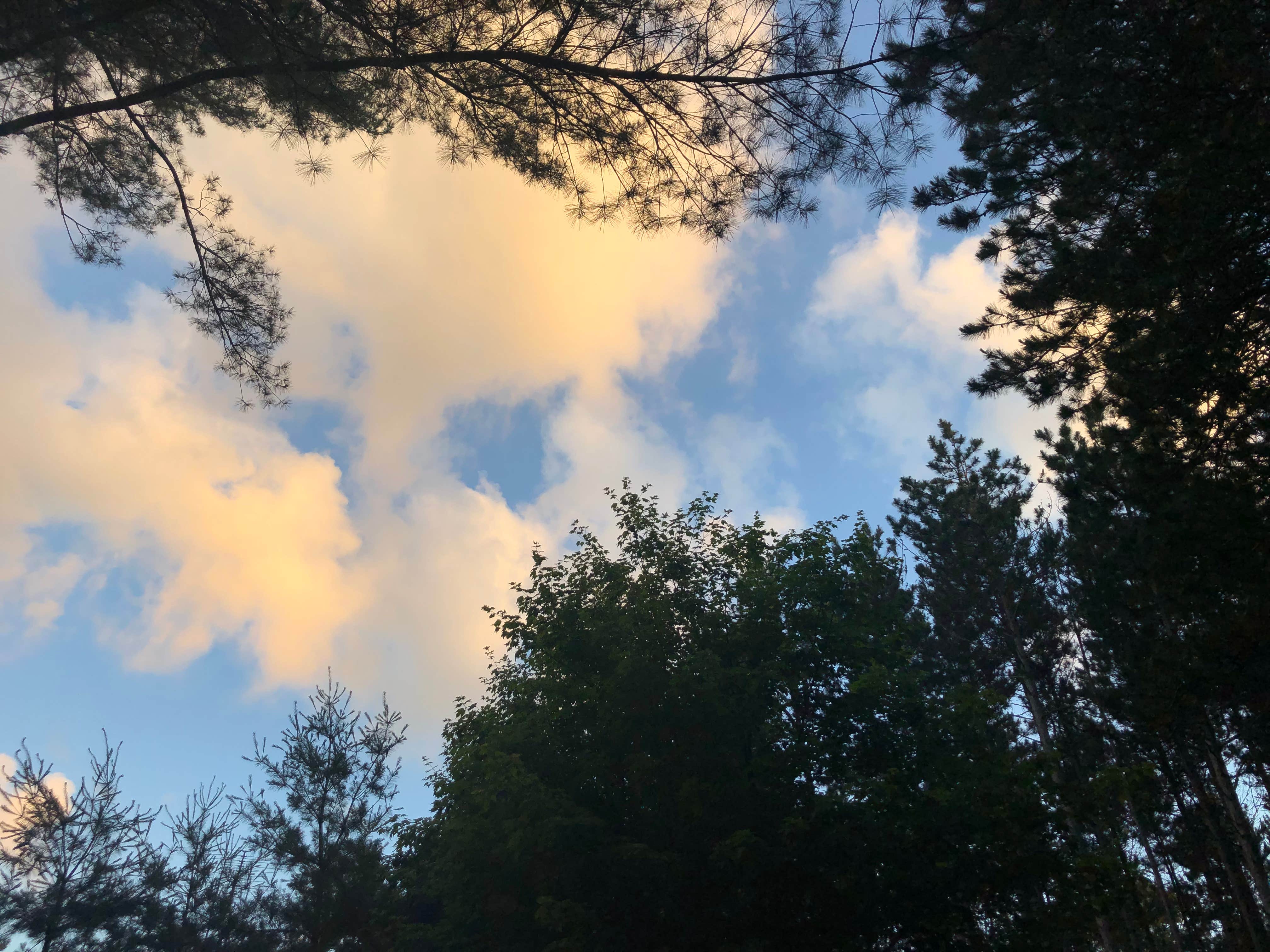 Lesley R.'s photo of a dispersed camping area at Last Creek Kayak Site near Tofte, MN